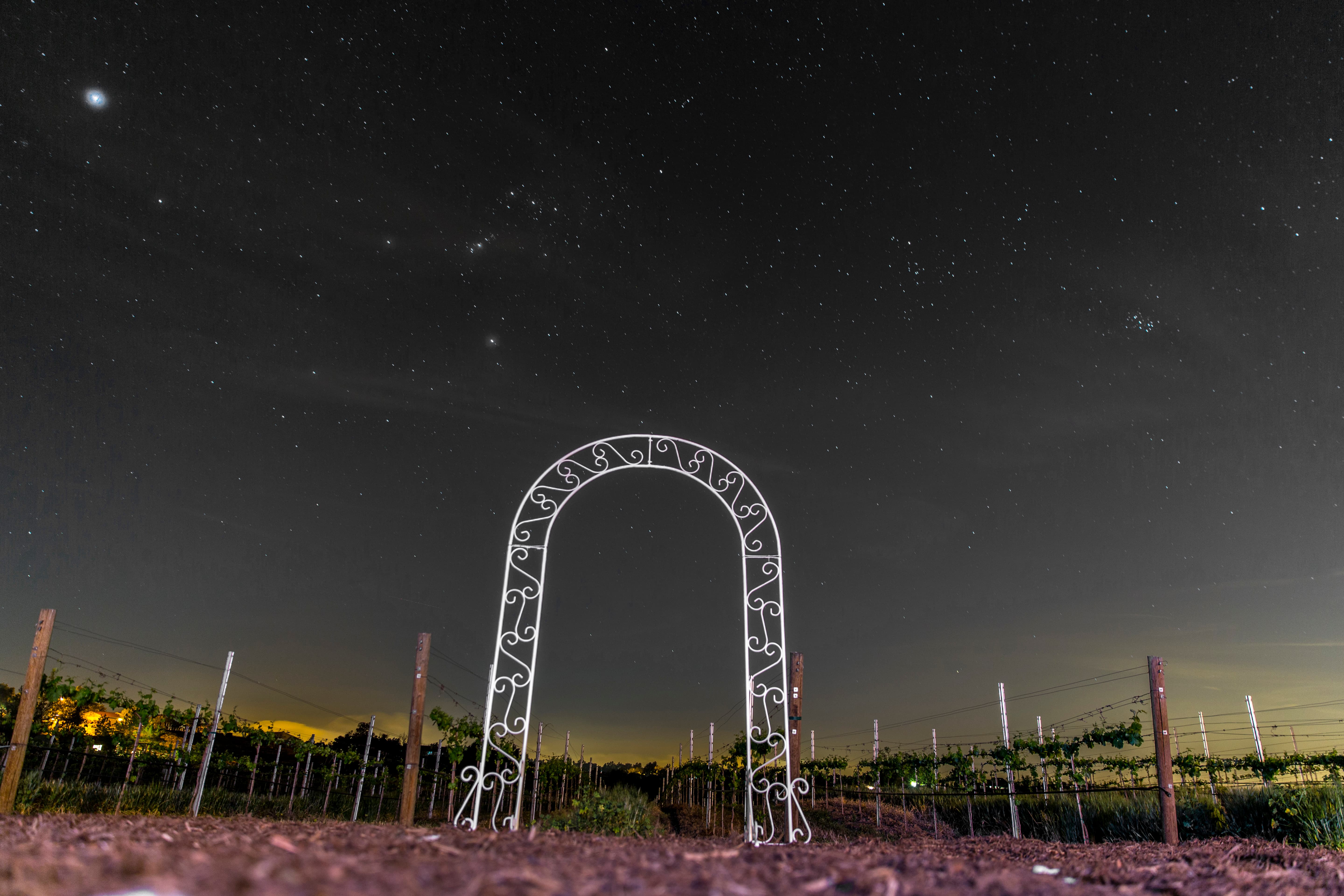 Wedding portrait — edited with a warm, editorial tone
