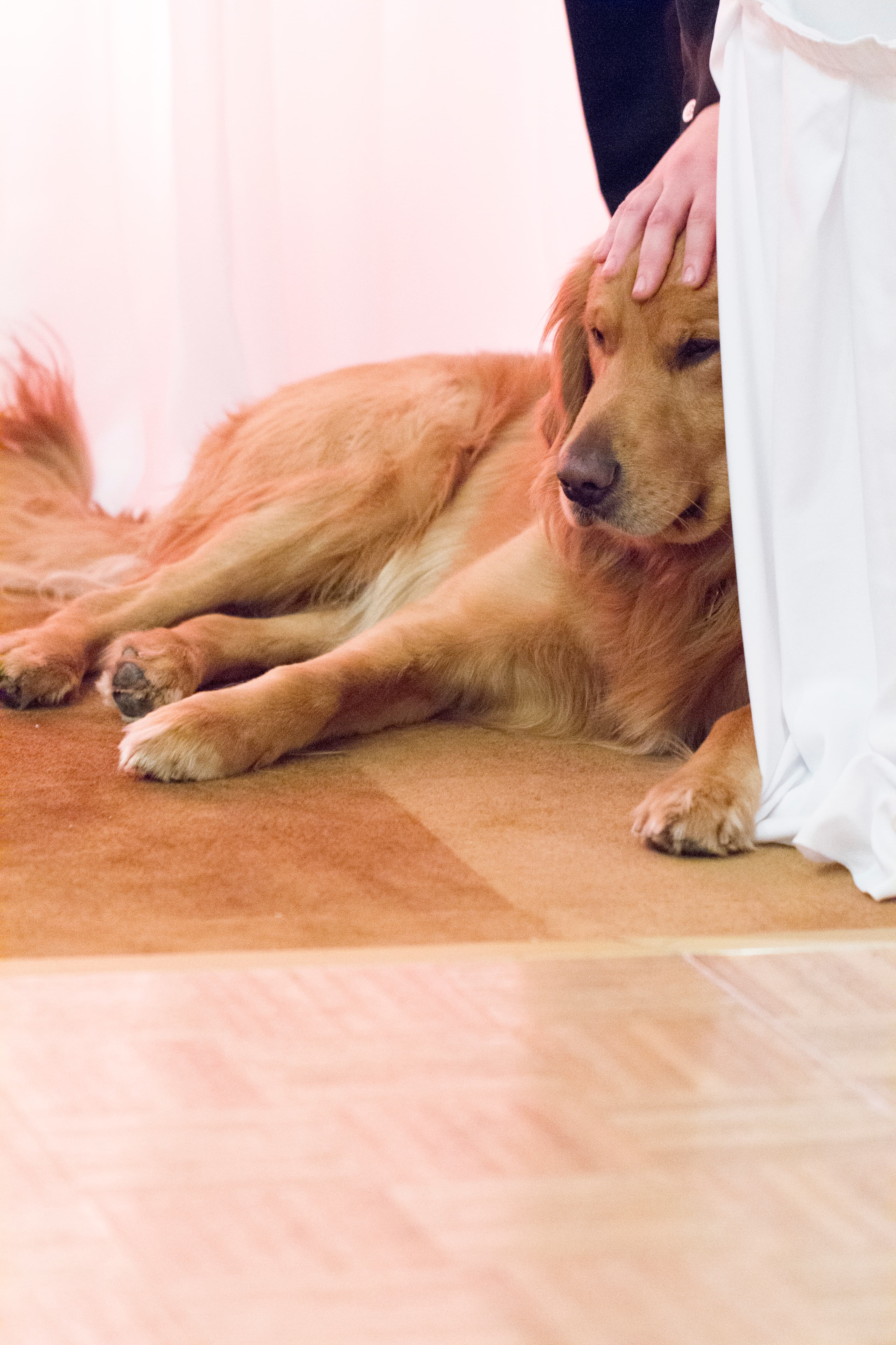 Rob and Becca's outdoor Alaskan wedding portrait — surrounded by wilderness
